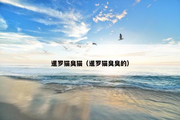 暹罗猫臭猫（暹罗猫臭臭的）