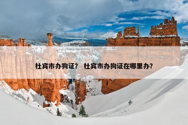 杜宾市办狗证？ 杜宾市办狗证在哪里办？