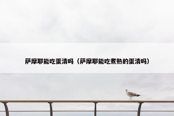 萨摩耶能吃蛋清吗（萨摩耶能吃煮熟的蛋清吗）