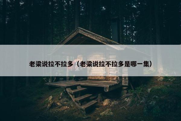 老梁说拉不拉多（老梁说拉不拉多是哪一集）