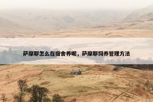 萨摩耶怎么在宿舍养呢，萨摩耶饲养管理方法