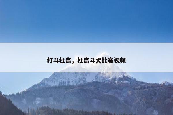 打斗杜高，杜高斗犬比赛视频