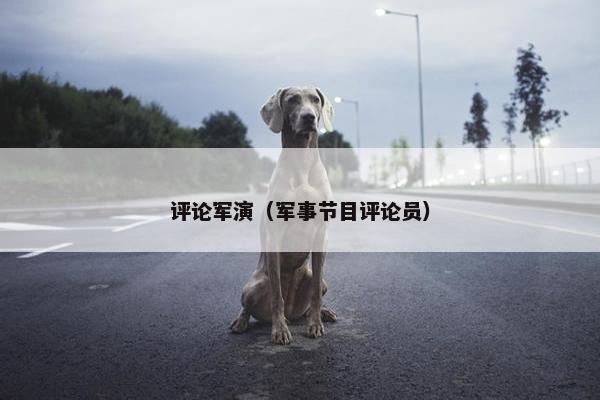 评论军演（军事节目评论员）
