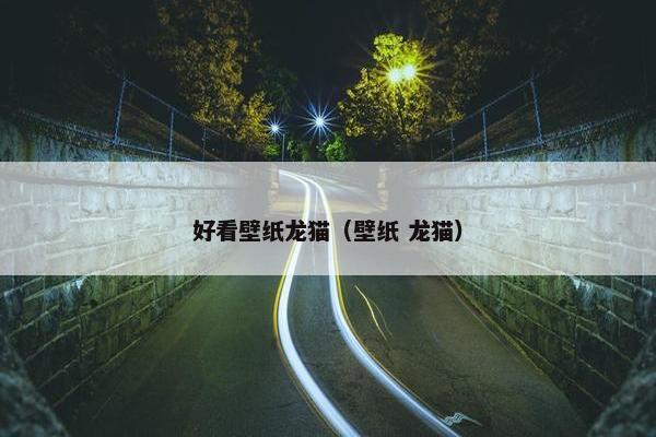 好看壁纸龙猫（壁纸 龙猫）