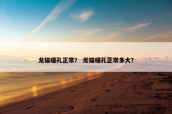 龙猫瞳孔正常？ 龙猫瞳孔正常多大？