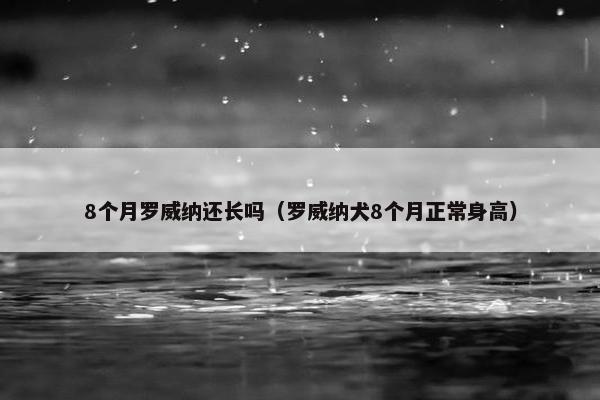 8个月罗威纳还长吗（罗威纳犬8个月正常身高）