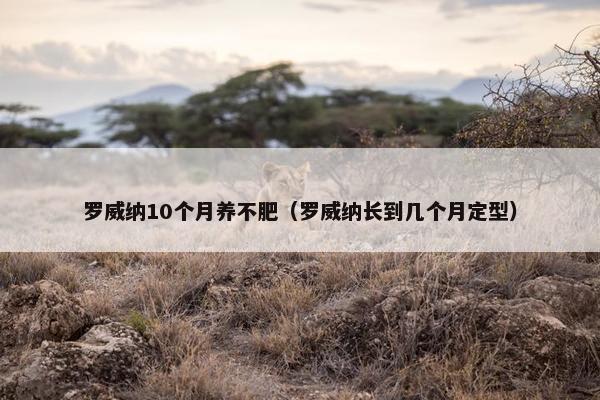 罗威纳10个月养不肥（罗威纳长到几个月定型）