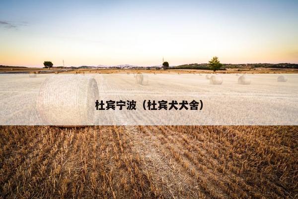 杜宾宁波（杜宾犬犬舍）
