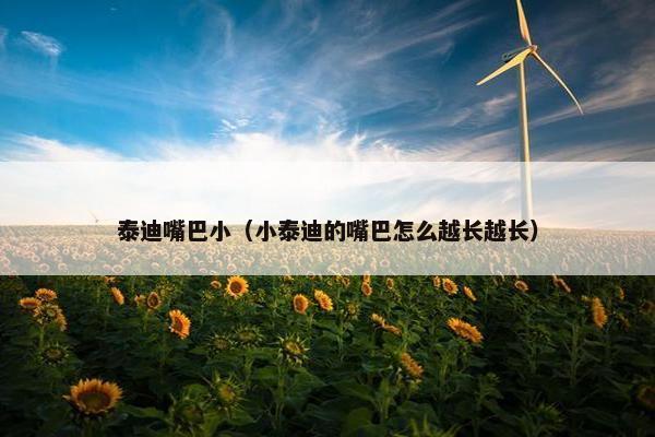 泰迪嘴巴小（小泰迪的嘴巴怎么越长越长）