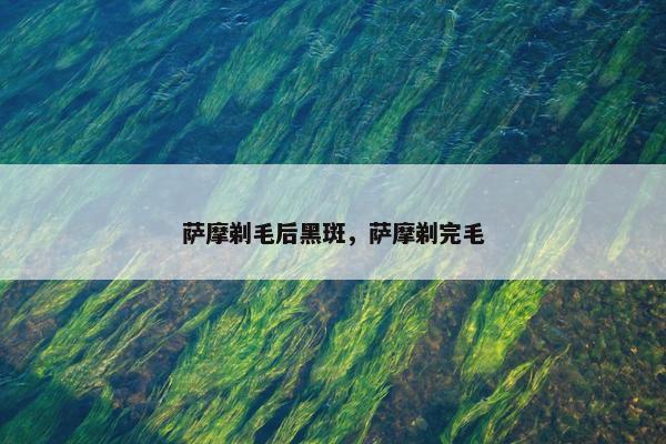 萨摩剃毛后黑斑，萨摩剃完毛