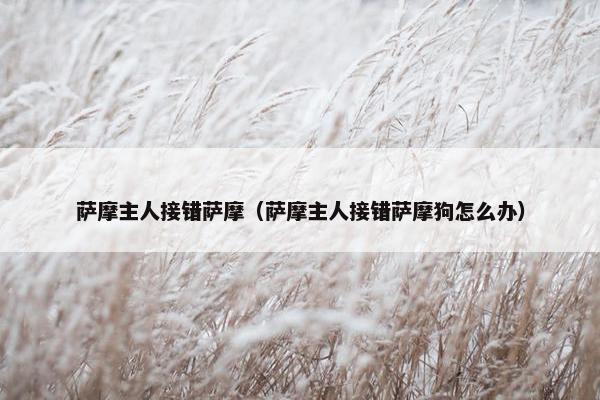 萨摩主人接错萨摩（萨摩主人接错萨摩狗怎么办）