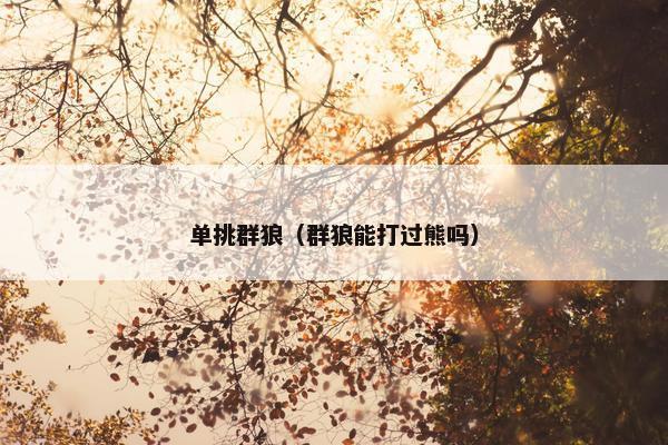 单挑群狼（群狼能打过熊吗）