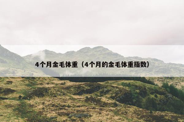 4个月金毛体重（4个月的金毛体重指数）