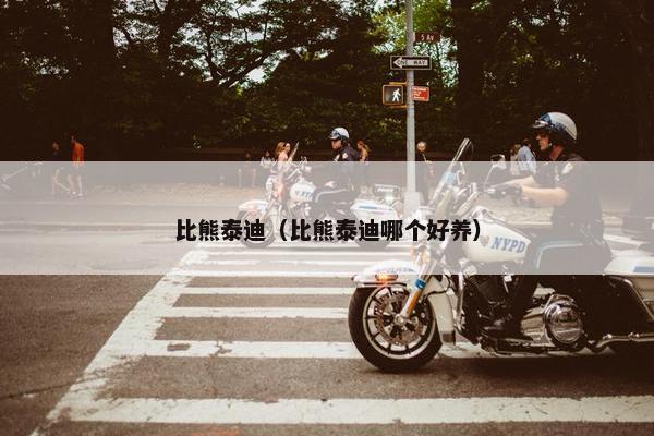 比熊泰迪（比熊泰迪哪个好养）