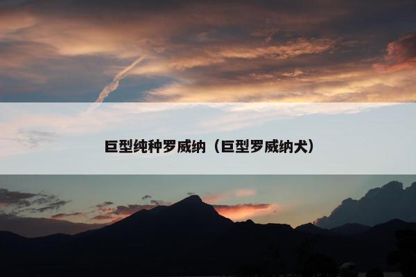 巨型纯种罗威纳（巨型罗威纳犬）