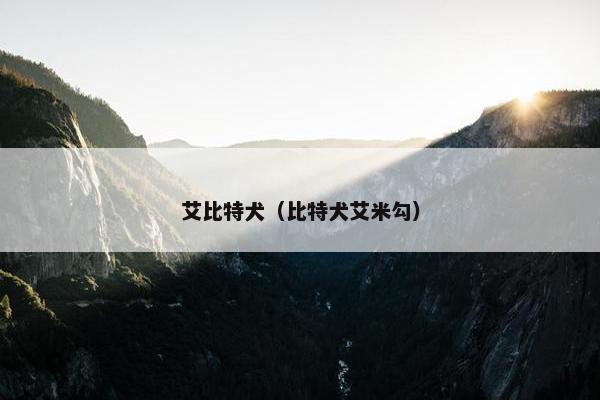 艾比特犬（比特犬艾米勾）
