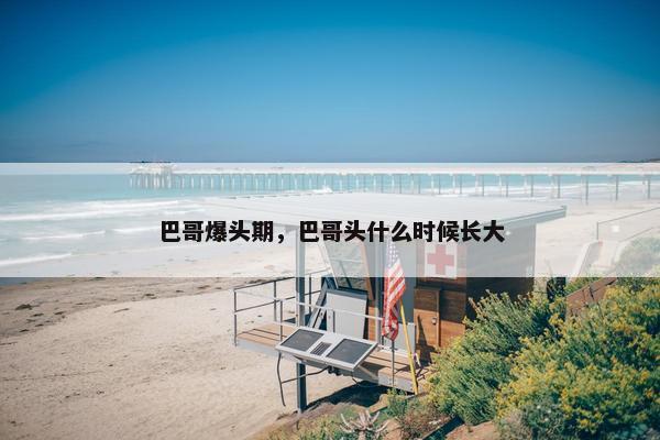 巴哥爆头期，巴哥头什么时候长大