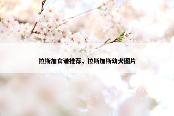 拉斯加食谱推荐，拉斯加斯幼犬图片