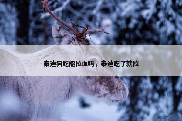 泰迪狗吃能拉血吗，泰迪吃了就拉