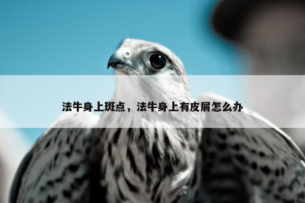 法牛身上斑点，法牛身上有皮屑怎么办
