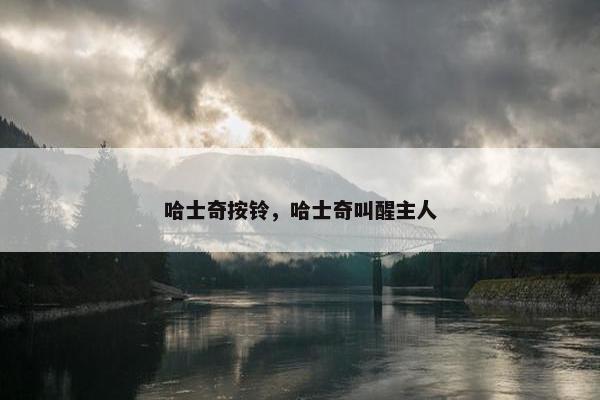 哈士奇按铃，哈士奇叫醒主人