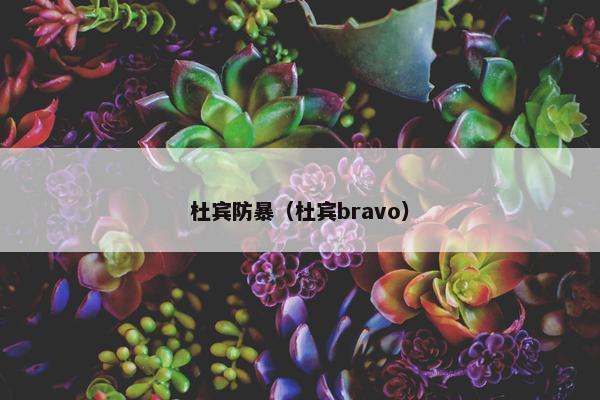 杜宾防暴（杜宾bravo）