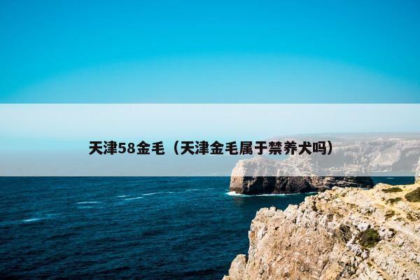天津58金毛（天津金毛属于禁养犬吗）