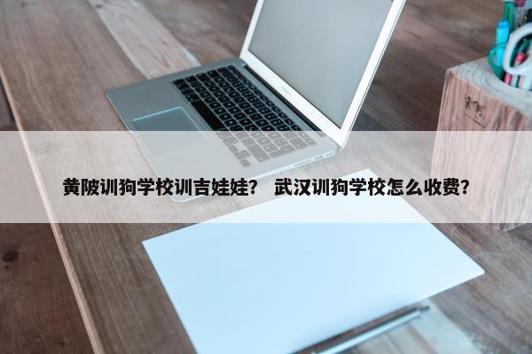 黄陂训狗学校训吉娃娃？ 武汉训狗学校怎么收费？