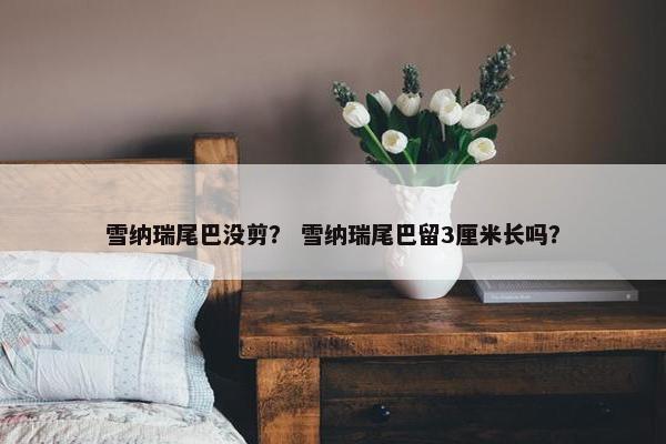 雪纳瑞尾巴没剪？ 雪纳瑞尾巴留3厘米长吗？