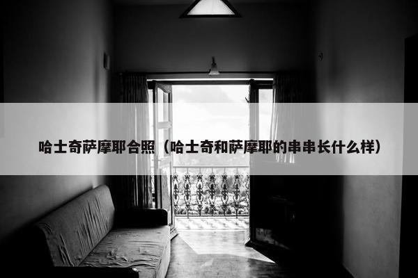 哈士奇萨摩耶合照（哈士奇和萨摩耶的串串长什么样）