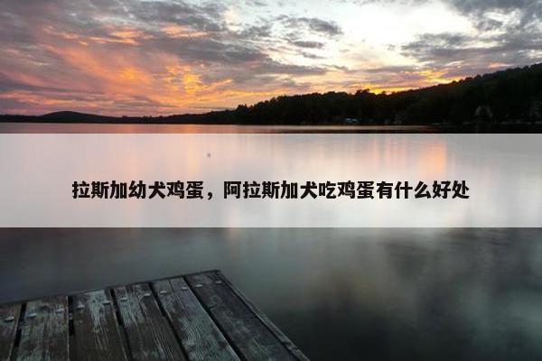 拉斯加幼犬鸡蛋，阿拉斯加犬吃鸡蛋有什么好处