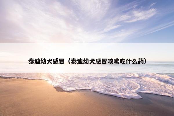 泰迪幼犬感冒（泰迪幼犬感冒咳嗽吃什么药）