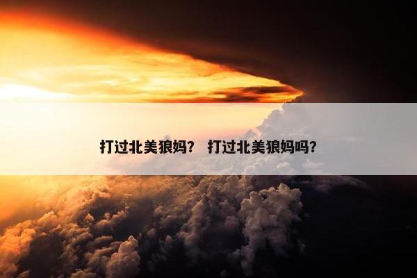 打过北美狼妈？ 打过北美狼妈吗？