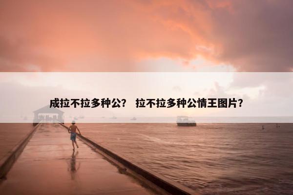 成拉不拉多种公？ 拉不拉多种公情王图片？