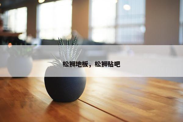 松狮地板，松狮贴吧