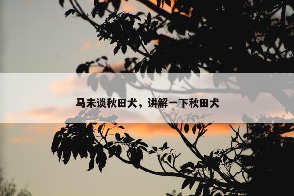 马未谈秋田犬，讲解一下秋田犬