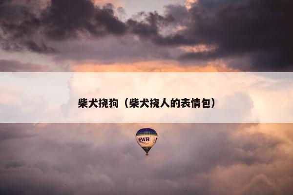 柴犬挠狗（柴犬挠人的表情包）