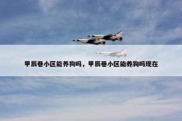 甲辰巷小区能养狗吗，甲辰巷小区能养狗吗现在