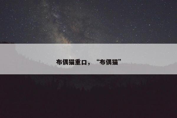 布偶猫重口，“布偶猫”