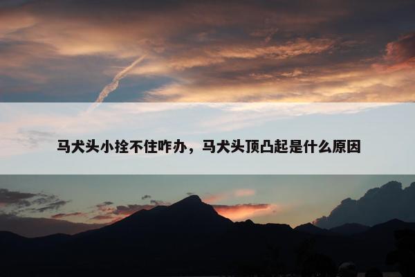 马犬头小拴不住咋办，马犬头顶凸起是什么原因