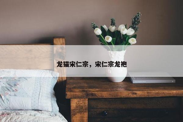 龙猫宋仁宗，宋仁宗龙袍
