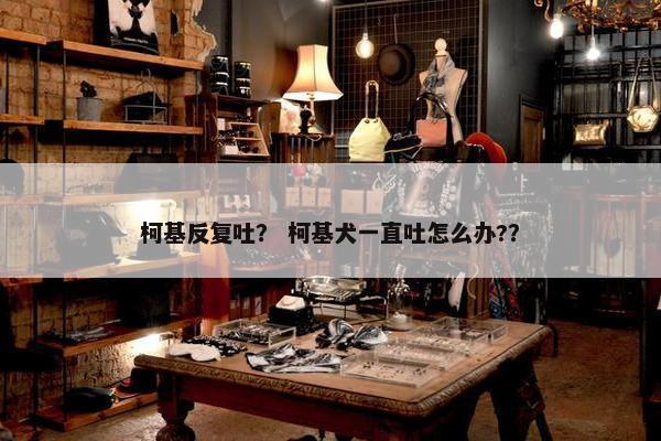 柯基反复吐？ 柯基犬一直吐怎么办?？
