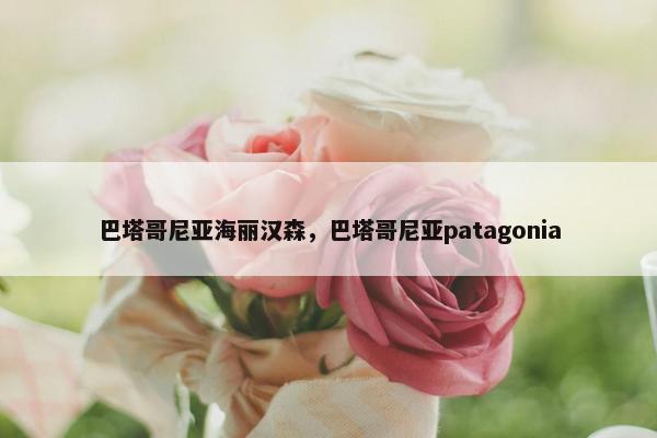巴塔哥尼亚海丽汉森，巴塔哥尼亚patagonia