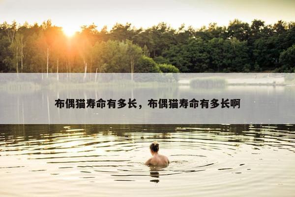 布偶猫寿命有多长，布偶猫寿命有多长啊