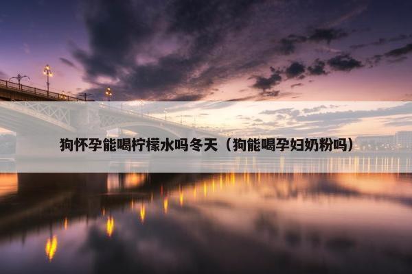 狗怀孕能喝柠檬水吗冬天（狗能喝孕妇奶粉吗）