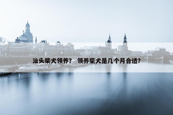 汕头柴犬领养？ 领养柴犬是几个月合适？