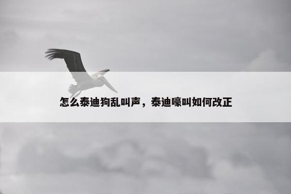 怎么泰迪狗乱叫声，泰迪嚎叫如何改正