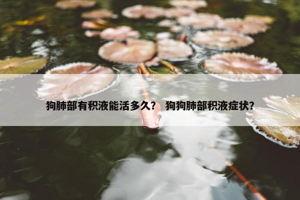 狗肺部有积液能活多久？ 狗狗肺部积液症状？