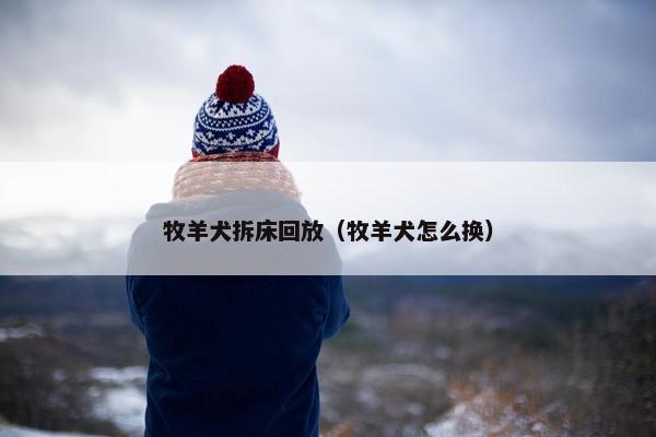 牧羊犬拆床回放（牧羊犬怎么换）