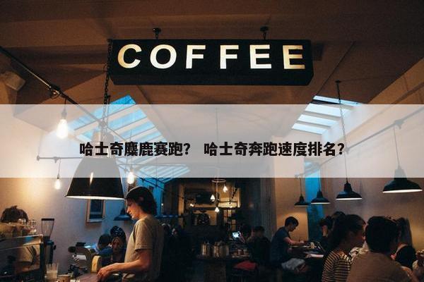 哈士奇麋鹿赛跑？ 哈士奇奔跑速度排名？